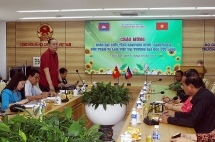 សាកលវិទ្យាល័យ Cuu Long (វៀតណាម) ទទួលបណ្ដុះបណ្ដាលនិស្សិតកម្ពុជា