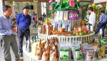 តំបន់ដីសណ្តរទន្លេ Cuu Long ជំរុញខ្លាំងការកសាងពាណិជ្ជសញ្ញា OCOP