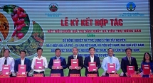 វេទិកាតភ្ជាប់ខ្សែសង្វាក់តម្លៃផលិតកម្មនិងការប្រើប្រាស់កសិផលតំបន់ Tay Nguyen នៃខេត្ត Gia Lai