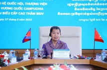 ចាប់តាំងពីសេវាពាណិជ្ជកម្មរបស់ BIDV ត្រូវបានបង្កើតឡើងនៅកម្ពុជា សកម្មភាពវិនិយោគរបស់សហគ្រាសវៀតណាមនៅកម្ពុជាមានការរីកចម្រើន