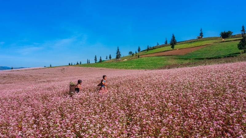 លើកតម្កើង Xin Man - Ha Giang (វៀតណាម) សម្រស់ទឹកដីព្រំប្រទល់នៃមាតុភូមិដល់មិត្តអន្តរជាតិ លើកតម្កើង Xin Man - Ha Giang (វៀតណាម) សម្រស់ទឹកដីព្រំប្រទល់នៃមាតុភូមិដល់មិត្តអន្តរជាតិ