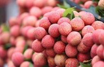 ជាលើដំបូង ផ្លែគូលេនដែលបិទតែមបញ្ជាក់ពីប្រភពដើមទំនិញបាននាំចេញទៅទីផ្សារបារាំង