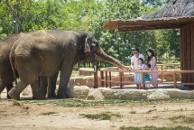 តំបន់ទេសចរណ៍ Vinpearl ត្បូងហូយអាន (Hoi An) - ឋានសួគ៌ទេសចរណ៍នៅភាកកណ្តាលវៀតណាម