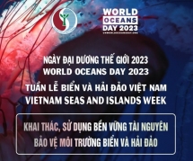 ក្រសួងធនធានធម្មជាតិ និងបរិស្ថាន ចាប់ផ្តើមសប្តាហ៍សមុទ្រ និងកោះវៀតណាម