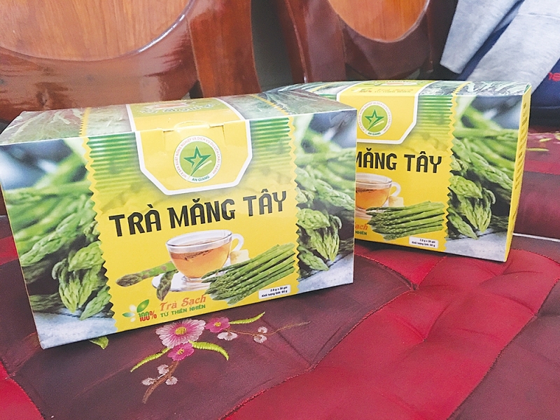 ស្វែងរកខេត្ត នីញធួន (Ninh Thuan) - ពណ៌បៃតងលើ «វាលខ្សាច់»
