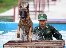Army Games ២០២១៖ ព្យាយាម និងត្រៀមខ្លួនជាមួយការប្រកួតវិញ្ញាសា 