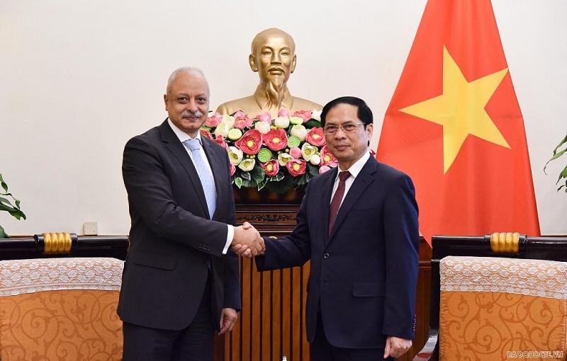 លោក Bui Thanh Son រដ្ឋមន្ត្រីក្រសួងការបរទេសវៀតណាម ទទួលជួបលោក Ayman Aly Kamel Aly ឧបការីរដ្ឋមន្ត្រីក្រសួងការបរទេសអេហ្ស៊ីប (រូបថត៖ baoquocte.vn)