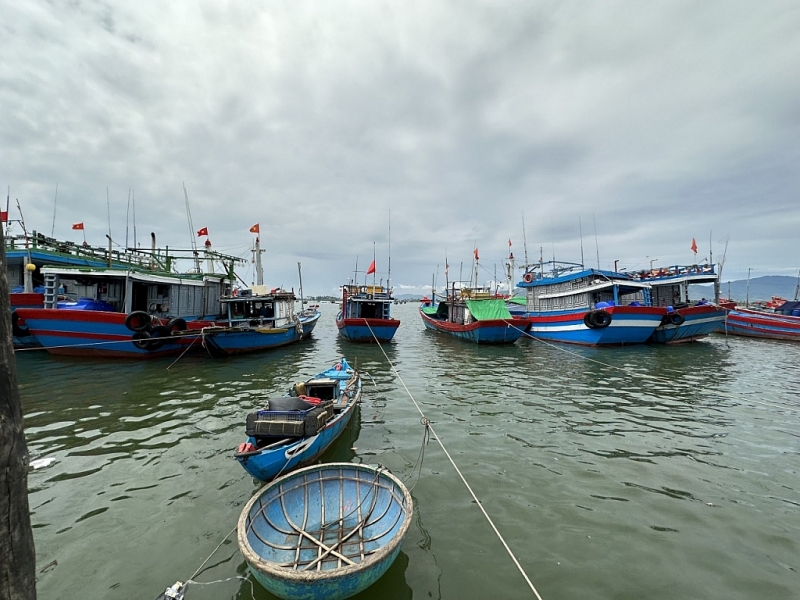 មនុស្សចាស់ទៅឆ្នេរ