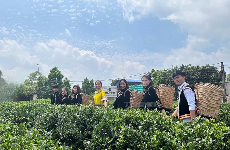 សកម្មភាពជាក់ស្តែងមួយ ដែលជួយនិស្សិតអន្តរជាតិក្នុងការស្វែងយល់អំពីវប្បធម៌ទំនៀមទម្លាប់របស់ប្រជាជនវៀតណាម