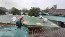 ព្យុះទីហ្វុង Yagi បោកបក់មកលើដី តើប្រជាពលរដ្ឋត្រូវធ្វើយ៉ាងណា ដើម្បីធានាសុវត្ថិភាព?