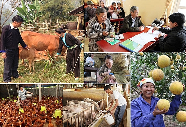 វៀតណាមធានាសិទ្ធិមនុស្សក្នុងការអនុវត្តកម្មវិធីគោលដៅជាតិស្តីពីការលុបបំបាត់ភាពអត់ឃ្លាននិងការកាត់បន្ថយភាពក្រីក្រ វៀតណាមធានាសិទ្ធិមនុស្សក្នុងការអនុវត្តកម្មវិធីគោលដៅជាតិស្តីពីការលុបបំបាត់ភាពអត់ឃ្លាននិងការកាត់បន្ថយភាពក្រីក្រ