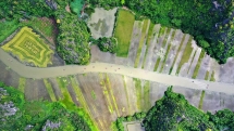 សម្រស់ពណ៌មាស តាមកុក (Tam Coc)