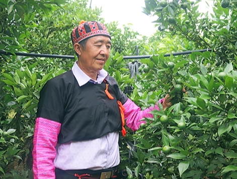 លោក Hang A So - កសិករឆ្នើមនៅខេត្ត Son La។