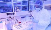 វៀតណាម និង IAEA សហប្រតិបត្តិ​ការប្រកបដោយប្រសិទ្ធភាពក្នុងការអភិវឌ្ឍន៍និងអនុវត្តបច្ចេកវិទ្យានុយក្លេអ៊ែរ​ដើម្បី​គោលដៅ​សន្តិភាព