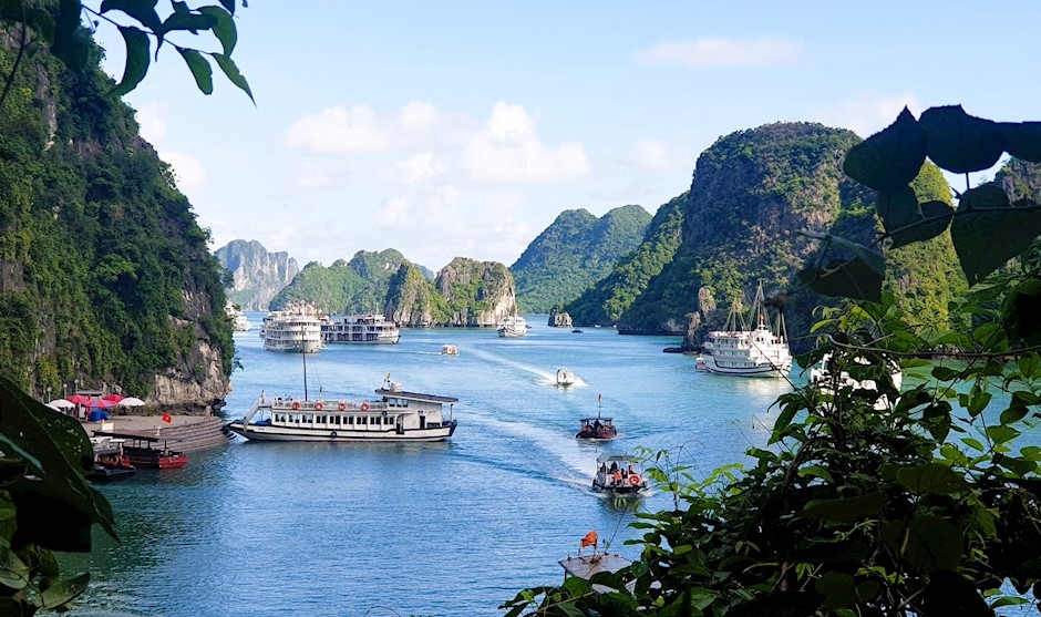 ឈូងសមុទ្រ Ha Long - ប្រជុំកោះ Cat Ba ត្រូវបានទទួលស្គាល់ជាបេតិកភណ្ឌភូគព្ភសាស្ត្រអន្តរជាតិ ឈូងសមុទ្រ Ha Long - ប្រជុំកោះ Cat Ba ត្រូវបានទទួលស្គាល់ជាបេតិកភណ្ឌភូគព្ភសាស្ត្រអន្តរជាតិ