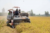 ຫວຽດນາມ ວ ງເງ ນສ ງອອກເຄ ອງຕ າແຜ ນຕ ດຫຍ ບໃນເດ ອນມ ງກອນ 2021 ຄາດຄະເນບ ນລ 2 6 ຕ ໂດລາສະຫະລ ດ ເພ ມຂ ນ 3 3 ເມ ອທຽບໃສ ໄລຍະດຽວກ ນຂອງປ 2020