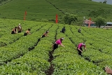 ເຊື່ອມ​ຕໍ່​ນັກ​ທຸ​ລະ​ກິດຊາວ ຫວຽ​ດ​ນາມ ອາ​ໄສ​ຢູ່​ຕ່າງ​ປະ​ເທດ, ຊຸກ​ຍູ້​ການ​ຄ້າ ແລະ ການລົງ​ທຶນໃນ​ຂົງ​ເຂດ​ກະ​ສິ​ກຳ