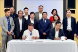 undp ໜ ນຊ ວຍ ກະຊວງສາທາລະນະສ ກ ຫວຽດນາມ ໃນການຕ ສ ສະກ ດກ ນໂລກລະບາດໂຄວ ດ 19