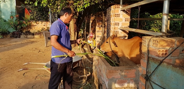 ລຸງບອມ - ຜູ້​ມີ​ອິດ​ທິ​ພົນ​ຊື່​ສຽງ​ຢູ່​ບ້ານຣ​າຍ