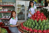 ຖະ​ໜົນ​ວາງ​ຂາຍ​ຜະ​ລິດ​ຕະ​ພັນ​ກະ​ເສດ​ທີ່​ເຕັມ​ໄປ​ດ້ວຍ​ສີ​ສັນ​ໃນ Festival ໝາກ​ໄມ້, ຜະ​ລິດ​ຕະ​ພັນ OCOP ຫວຽດ​ນາມ ປີ 2022