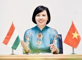 ຊຸກຍູ້ການພົວພັນຄູ່ຮ່ວມມືຮອບດ້ານ ຫວຽດນາມ - ຮຸງກາຣີ