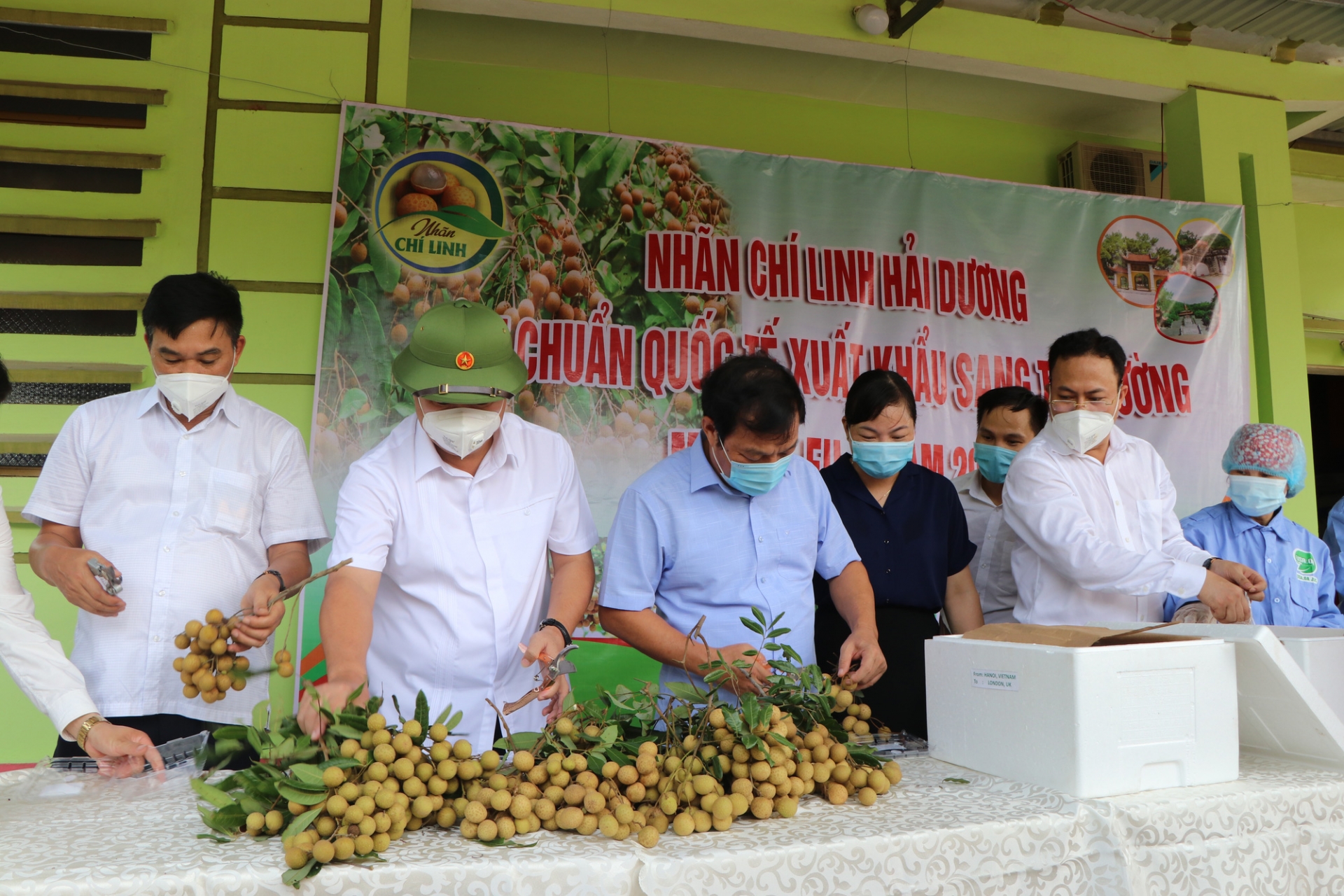 ນຳ​ຜະ​ລິດ​ຕະ​ພັນ​ກະ​ເສດ​ຫວຽດ​ນາມ ອອກ​ສູ່​ໂລກ