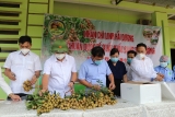 ໝາກລຳໄຍຂອງຫວຽດນາມ ໄດ້ຮັບຄວາມນິຍົມຈາກຫຼາຍຕະຫຼາດໃຫ່ຍ ແລະ ຜູ້ບໍລິໂພກໃນໂລກ