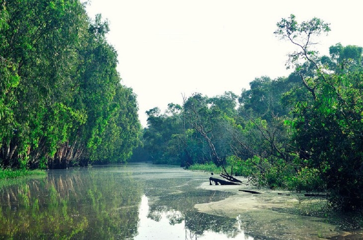 ປ່າສະເມັດ ຈ່າຊື ແມ່ນບ່ອນດຳລົງຊີວິດຂອງສັດ, ພືດນາໆຊະນິດ ຂຶ້ນກັບລະບົບປ່ານຳໃຊ້ສະເພາະຂອງຫວຽດນາມ. ປ່າສະເມັດ ຈ່າຊື ແມ່ນບ່ອນດຳລົງຊີວິດຂອງສັດ, ພືດນາໆຊະນິດ ຂຶ້ນກັບລະບົບປ່ານຳໃຊ້ສະເພາະຂອງຫວຽດນາມ.