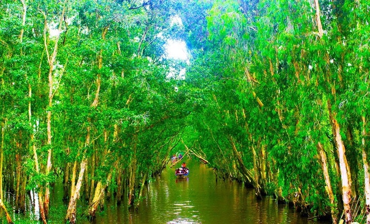 ບັນດາຕົ້ນສະເມັດ ໄດ້ຕ້ອນຮັບນັກທ່ອງທ່ຽວດ້ວຍບັນດາຮົ່ມໄມ້ທີ່ເຢັນສະບາຍ. (ພາບ: angiang.gov.vn) ບັນດາຕົ້ນສະເມັດ ໄດ້ຕ້ອນຮັບນັກທ່ອງທ່ຽວດ້ວຍບັນດາຮົ່ມໄມ້ທີ່ເຢັນສະບາຍ. (ພາບ: angiang.gov.vn)