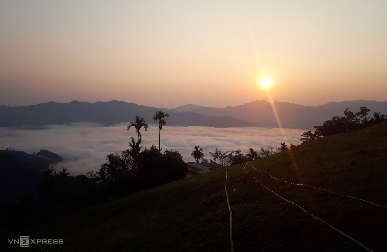 ດ້ວຍຄວາມສູງກວ່າ 2.500 ແມັດ, ພູຫງອກລິງຕັ້ງຢູ່ສາຍພູເຈື່ອງເຊີນ, ເຊິ່ງຕັ້ງຢາຍກັນຍາວ ຢູ່ສາມແຂວງກວາງຫງາຍ, ກອນຕູມ ແລະກວາງນາມ. ເຂດຂຶ້ນກັບແຂວງກວາງນາມແມ່ນເມືອງນາມຈ່າມີ, ເຊິ່ງເປັນບ່ອນທີ່ປະຊາຊົນປູກໂສມ ຫງອກລິງ ພາຍໃຕ້ປ່າຕົ້ນໄມ້ໃຫຍ່ອາຍຸຫຼາຍປີ