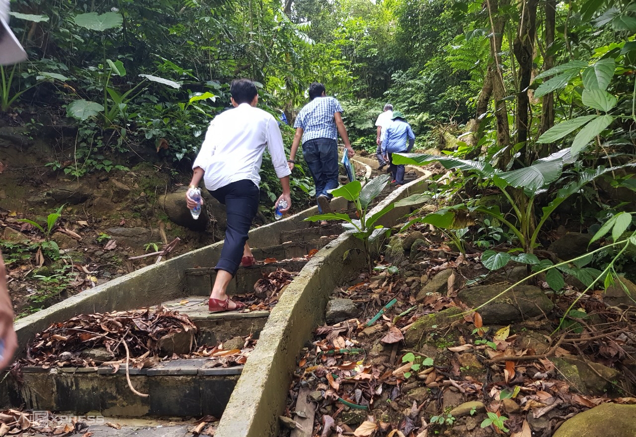 ທາງໄປສວນ ໂສມ ຕັກໂງ ຢູ່ຕາແສງ ຈ່າລິງ. ເມືອງນາມຈ່າມີ ກໍາລັງສ້າງເຂດທ່ອງທ່ຽວສວນໂສມ ຫງອກລິງ ເພື່ອຮັບໃຊ້ນັກທ່ອງທ່ຽວທີ່ໄປຢ້ຽມຢາມ ແລະຄົ້ນຫາໂສມ ໃນໄລຍະຈະມາເຖິງນີ້.