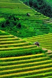 ຊາປາ ແມ່ນສະຖານທີ່ທີ່ມີຊື່ສຽງດຶງດູດນັກທ່ອງທ່ຽວ