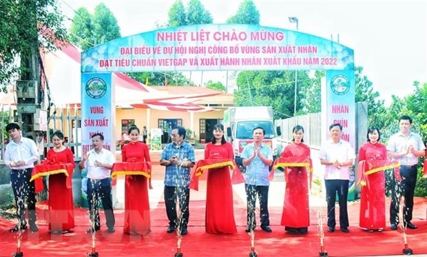 ພິທີຕັດແຖບຜ້າສົ່ງອອກໝາກລຳໄຍ ອຽນເຖ ງວດທຳອິດ ໄປຍັງຕະຫຼາດ ອົດສະຕາລີ (ພາບ: TTXVN) ພິທີຕັດແຖບຜ້າສົ່ງອອກໝາກລຳໄຍ ອຽນເຖ ງວດທຳອິດ ໄປຍັງຕະຫຼາດ ອົດສະຕາລີ (ພາບ: TTXVN)