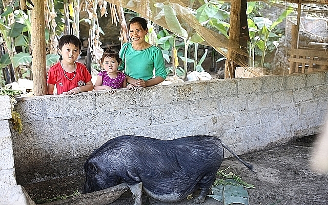 ChildFund ຫວຽດນາມ ປະຕິບັດຫຼາຍກິດຈະກຳ ເພື່ອປັບປຸງຊີວິດການເປັນຢູ່ຂອງປະຊາຊົນ ກາວບັ່ງ childfund ຫວຽດນາມ ປະຕ ບ ດຫ າຍກ ດຈະກຳ ເພ ອປ ບປ ງຊ ວ ດການເປ ນຢ ຂອງປະຊາຊ ນ ກາວບ ງ