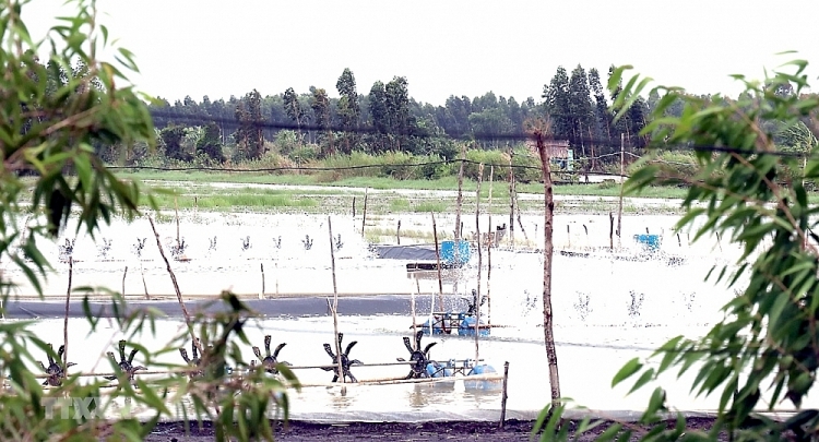 ກຽນຢາງ ຊ ວ ດການເປ ນຢ ຂອງຊາວຂະແມໄດ ມ ການປ ຽນແປງໃນແຕ ລະມ ຫ ງຈາກທ ໄດ ນ າໃຊ ໄຟຟ າແຫ ງຊາດ