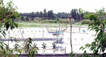 ກຽນຢາງ: ຊີວິດການເປັນຢູ່ຂອງຊາວຂະແມໄດ້ມີການປ່ຽນແປງໃນແຕ່ລະມື້ ຫຼັງຈາກທີ່ໄດ້ນໍາໃຊ້ໄຟຟ້າແຫ່ງຊາດ
