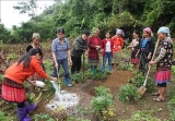 ຕະຫລາດແຮງງານ ຫວຽດນາມ ມ ການປ ຽນແປງຫລາຍຢ າງ