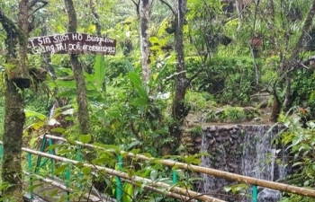 ບ້ານຊິນສວຍໂຮ່ - ສະຖານທີ່ທ່ອງທ່ຽວທີ່ດູດດື່ມໃນແຂວງລາຍເຈົາ