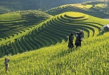 ທ ວໂລກມ 39 573 043 ຄ ນຕ ດເຊ ອໂຄວ ດ 19 ແລະ ມ ຜ ເສຍຊ ວ ດແມ ນ 1 109 070 ຄ ນ