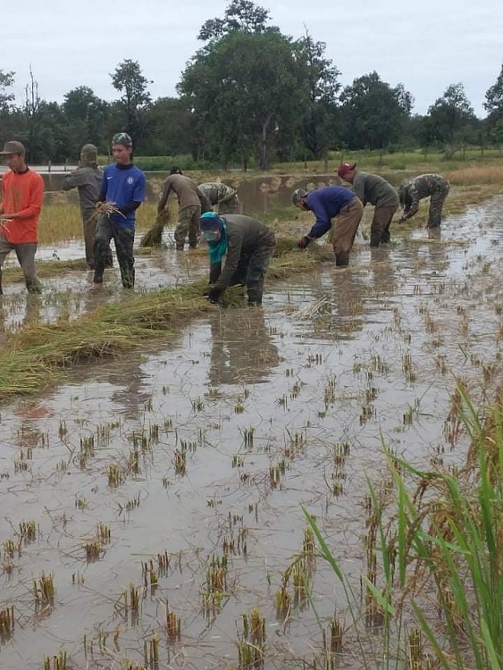 ສປປ.ລາວ: ເຂົ້ານາຫລາຍພັນເຮັກຕາທັງເມືອງວິລະບູລີ, ເຊໂປນ, ຈຳພອນ, ສອງຄອນ, ໄກສອນ ພົມວິຫານ ແລະອື່ນໆ ຖືກນໍ້າຖ້ວມ ສປປ ລາວ ເຂ ານາຫລາຍພ ນເຮ ກຕາທ ງເມ ອງວ ລະບ ລ ເຊໂປນ ຈຳພອນ ສອງຄອນ ໄກສອນ ພ ມວ ຫານ ແລະອ ນໆ ຖ ກນ າຖ ວມ