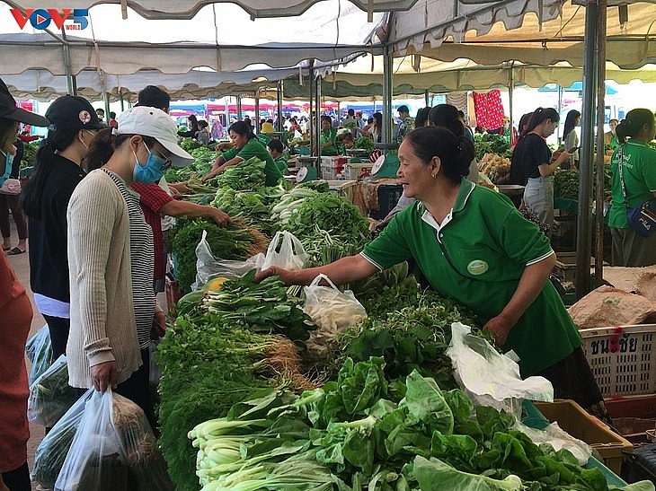 ລາວ ເລີ່ມຕົ້ນໂຄງການພັດທະນາກຳລັງຄວາມສາມາດດ້ານກະສິກຳ ລາວ ເລ ມ ຕ ນ ໂຄງ ການ ພ ດ ທະ ນາກຳ ລ ງ ຄວາມສາ ມາດ ດ ານກະ ສ ກຳ