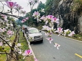 ຊຸກຍູ້ການທ່ອງທ່ຽວທີ່ປອດໄພ ໃນສະພາບການໂລກລະບາດໂຄວິດ - 19