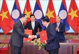 ຫວຽດນາມ ໄດ ປະຕ ບ ດບ ນດາຂ ລ ເລ ມທ ສຳຄ ນເພ ອຊ ກຍ ການຮ ວມມ ໃນການປ ອງກ ນ ແລະຕ ານອາດຊະຍາກຳຂ າມຊາດ ພາຍໃນພາກພ ນ