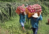 ຈີນ​ຮັດ​ແໜ້ນ​ການ​ນຳ​ເຂົ້າ​ຜະ​ລິດ​ຕະ​ພັນ​ກະ​ສິ​ກຳ, ວິ​ສາ​ຫະ​ກິດ​ຕ້ອງ​ໃສ່ໃຈ 11 ຈຸດ