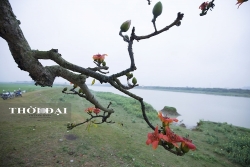 83 du lich o dau re dep va ly tuong nhat mien trung