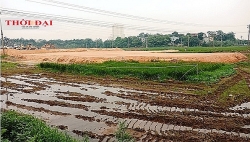 phu tho thanh tra phat hien hon 34000 m2 dat bi chiem dung tai phuong ben got tp viet tri