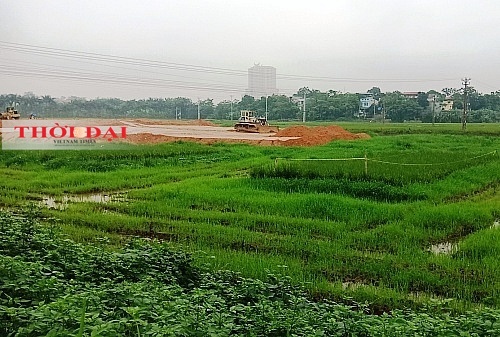 Dự án KĐT mới Tây Nam Việt Trì: Ngang nhiên san lấp khi chưa có Quyết định của UBND tỉnh du an kdt moi tay nam viet tri ngang nhien san lap khi chua co quyet dinh cua ubnd tinh