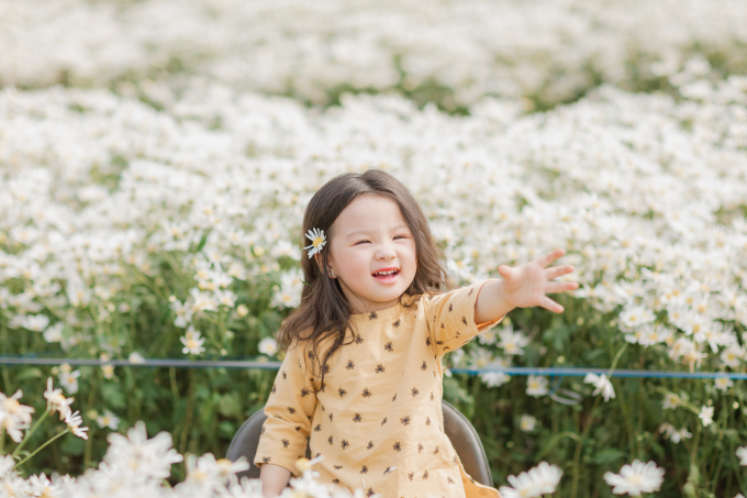 Trong trẻo mùa cúc họa mi Trong trẻo mùa cúc họa mi