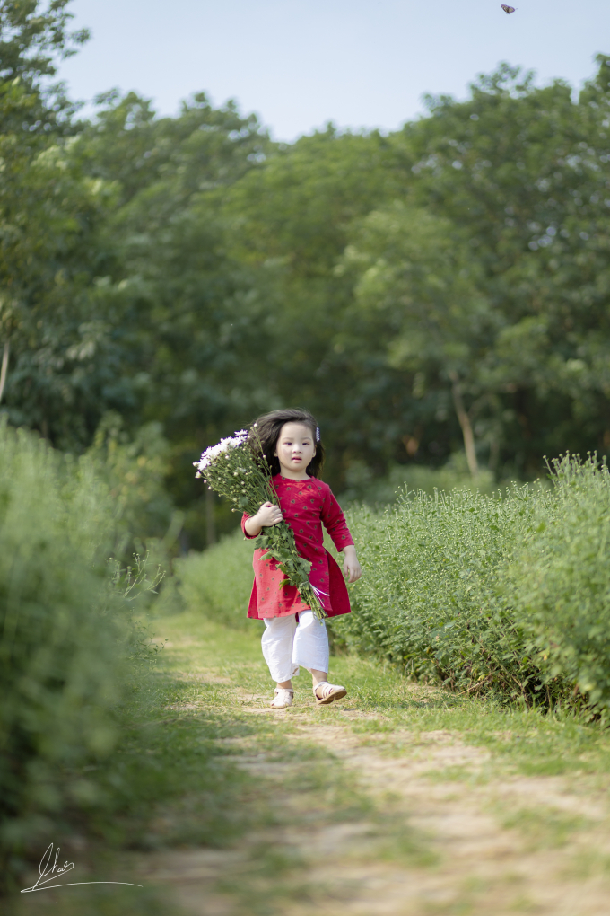 Trong trẻo mùa cúc họa mi Trong trẻo mùa cúc họa mi