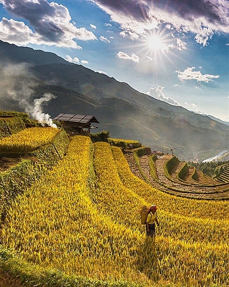 Golden rice fields in Mu Cang Chai, a photo by Tran Tuan Viet featured on the Facebook of Vietnamtourismboard. 5734 vietnam 1